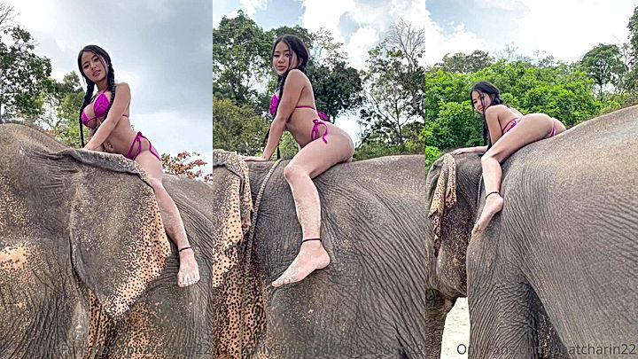 Hot thai girl ride on elephant Praewasian leaks