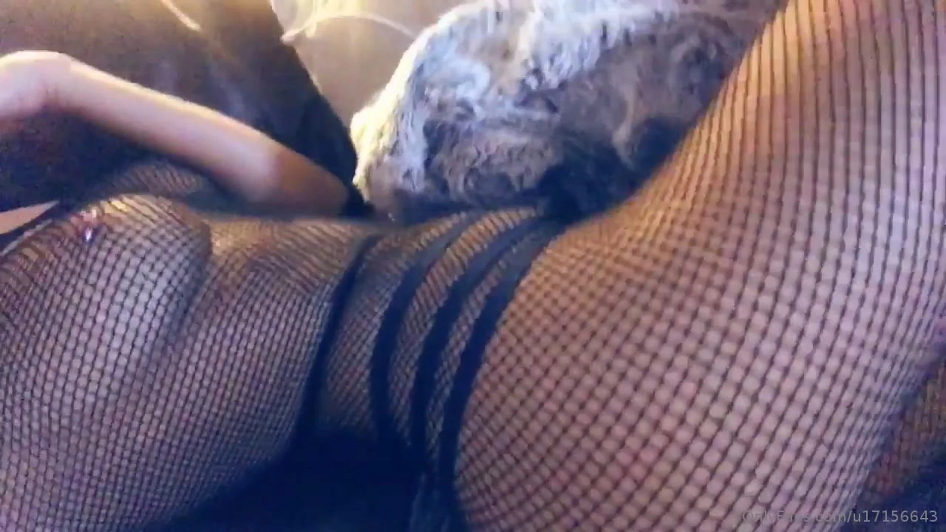 sexy goddess play with her hot body in lingerie, Frances Bentley onlyfans leak