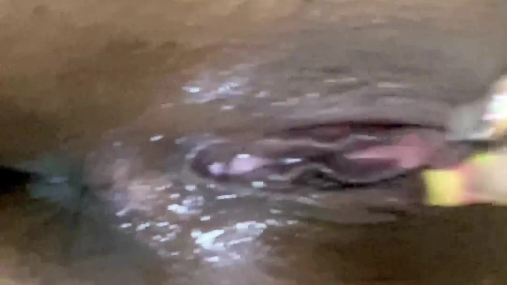 wild bitch MissBNasty teasing you with my slippery pink pussy until i cum
